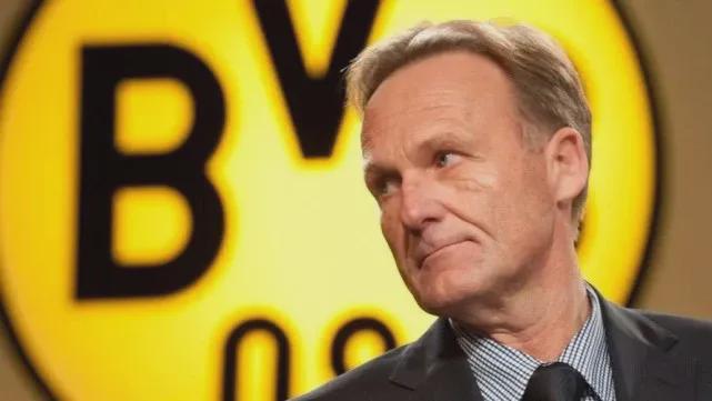 篮球火箭球员赛季数据亮眼（火箭球员本季数据出色）